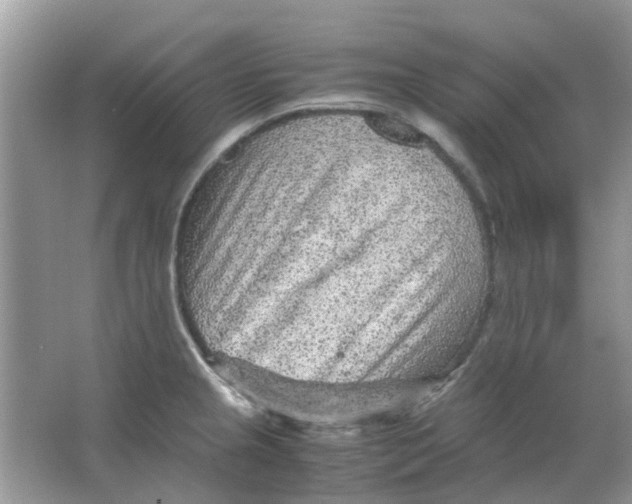 X0000065961237200603241839