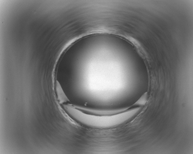 X0000065961238200603241839