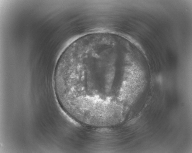 X0000065961239200603241839