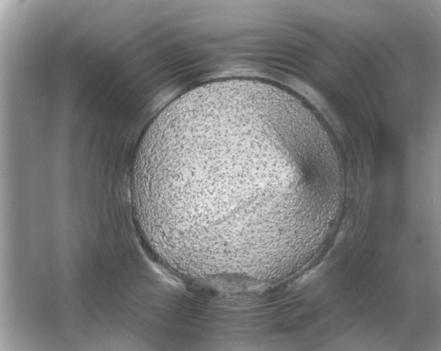 X0000065961241200603241839