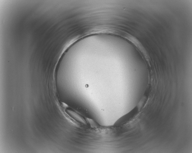 X0000065961242200603241839