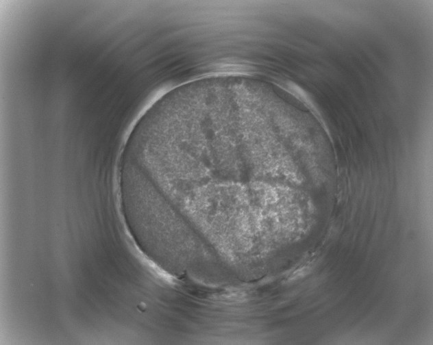 X0000065961243200603241839