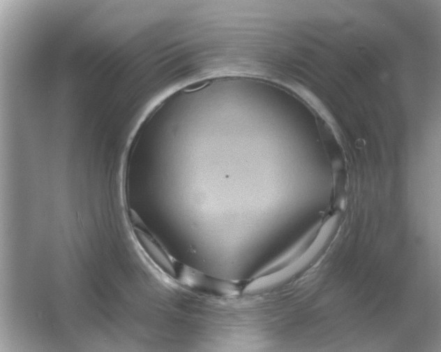 X0000065961246200603241839