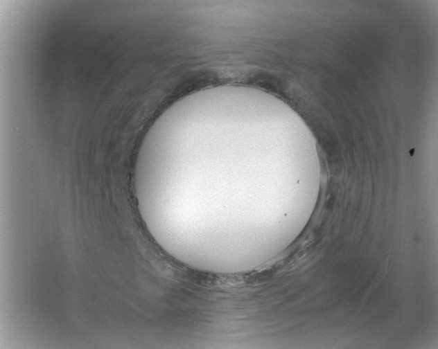 X0000065961249200603241838