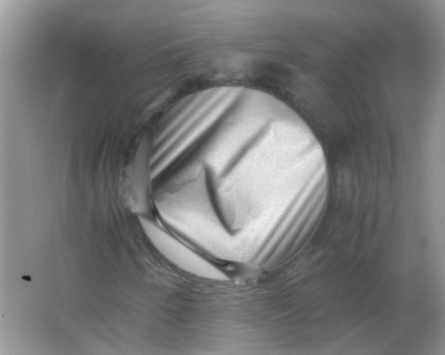 X0000065961250200603241838