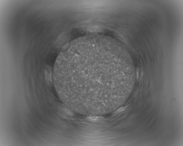 X0000065961251200603241838