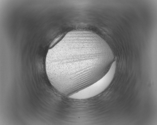 X0000065961252200603241838