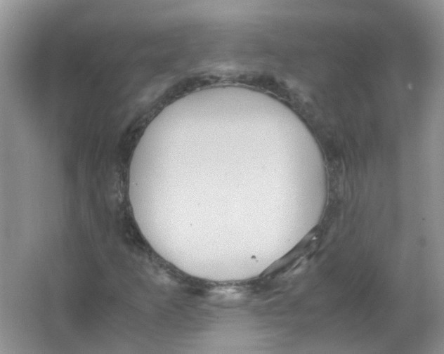 X0000065961253200603241838