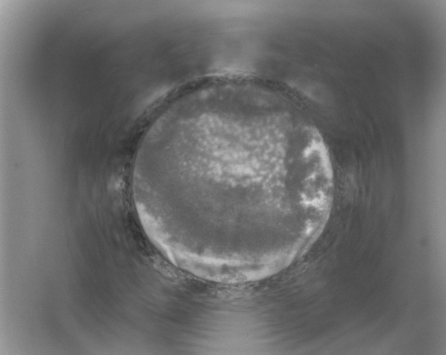 X0000065961254200603241838