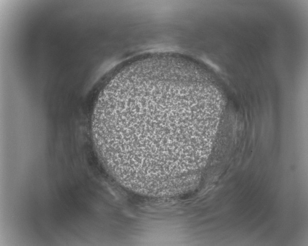 X0000065961255200603241838