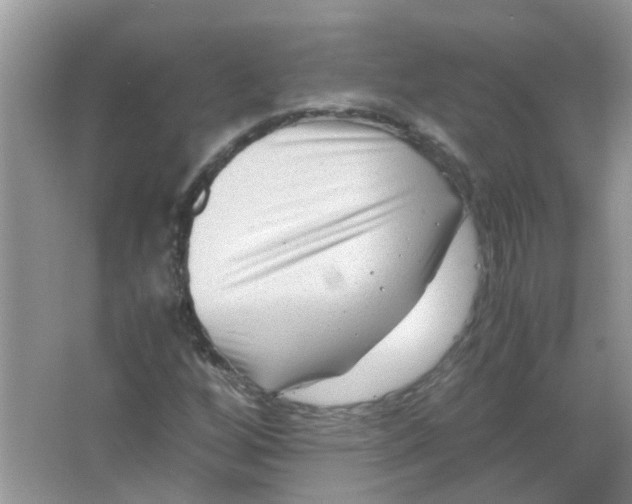 X0000065961256200603241838