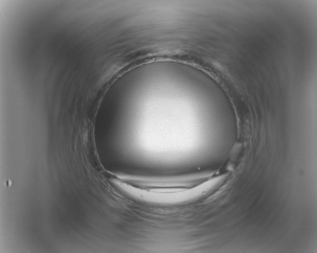 X0000065961257200603241838