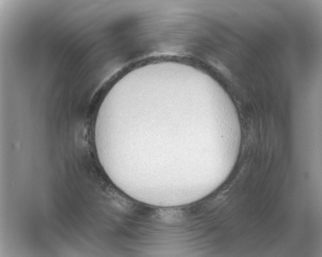 X0000065961258200603241838