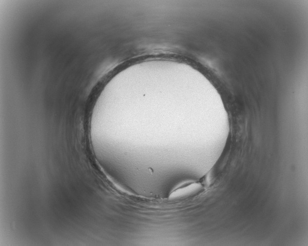 X0000065961261200603241838