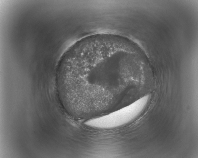 X0000065961263200603241838