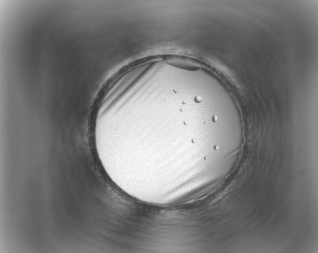 X0000065961264200603241838