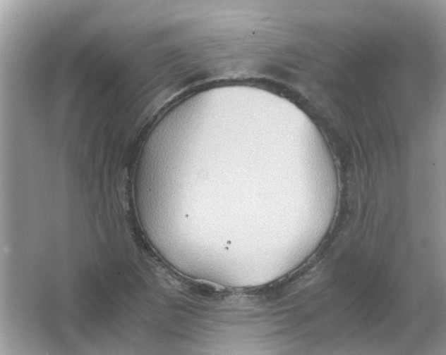 X0000065961265200603241838