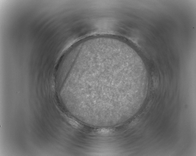 X0000065961266200603241838