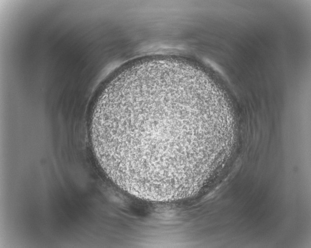 X0000065961267200603241838