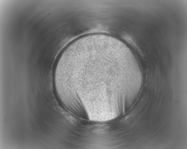 X0000065961268200603241838