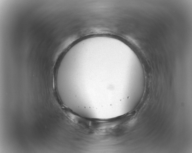 X0000065961269200603241838