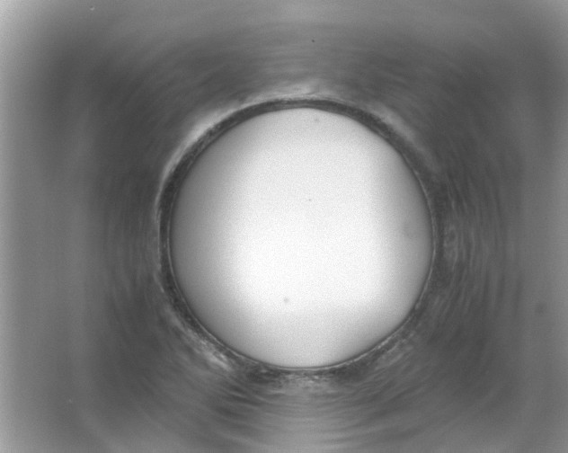 X0000065961270200603241838