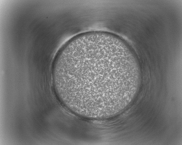 X0000065961271200603241838