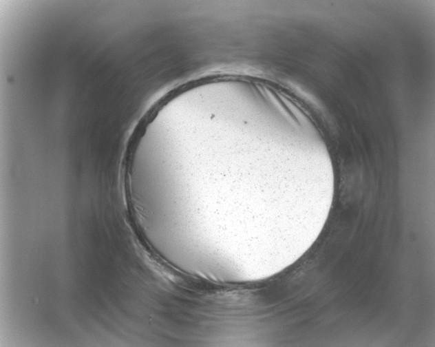 X0000065961272200603241838