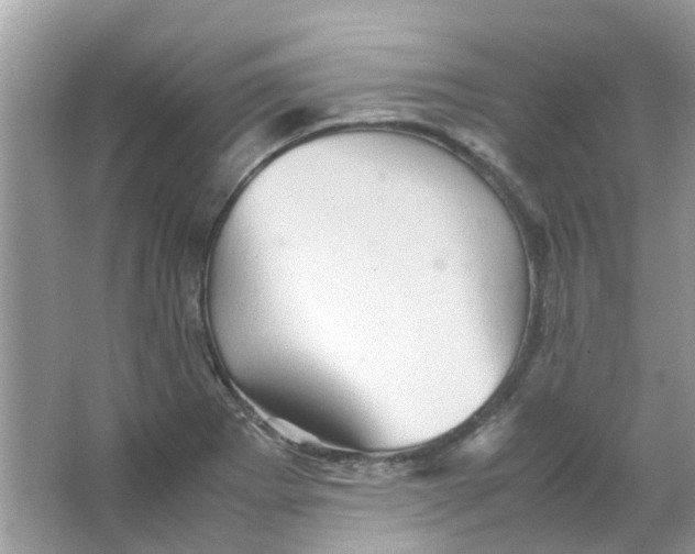 X0000065961273200603241837