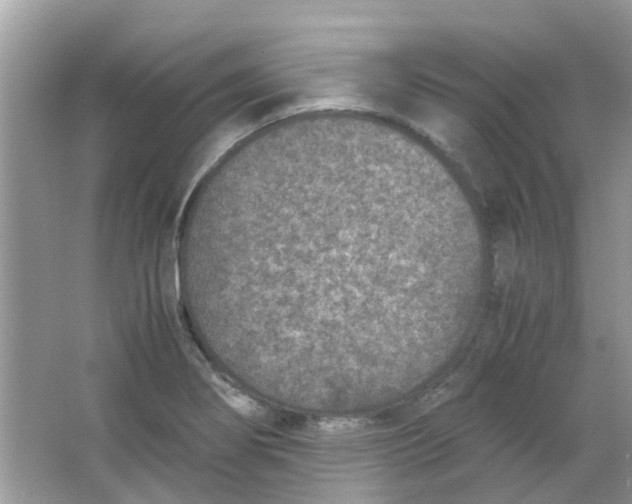 X0000065961274200603241837