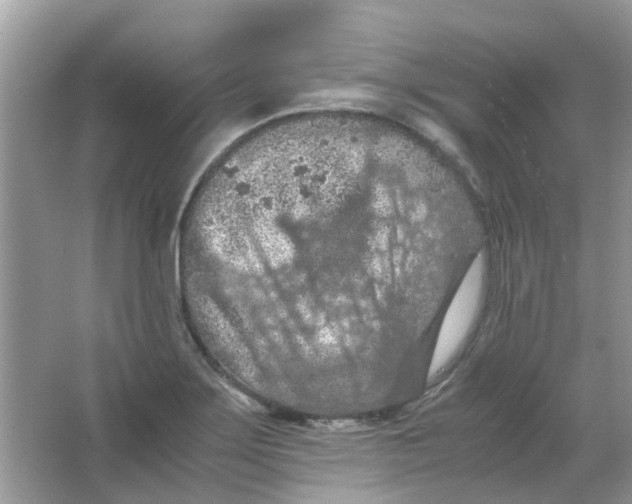 X0000065961275200603241837