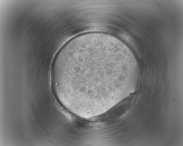 X0000065961276200603241837