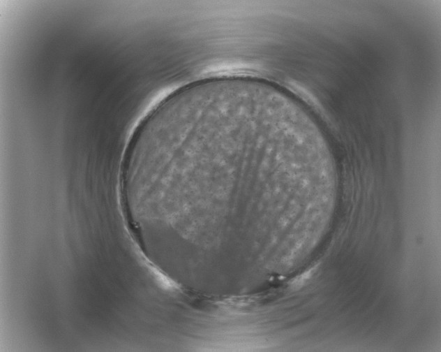 X0000065961277200603241837