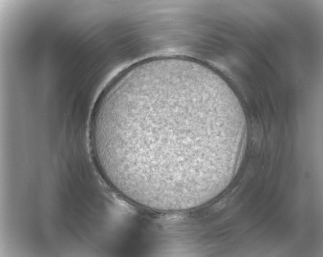 X0000065961278200603241837