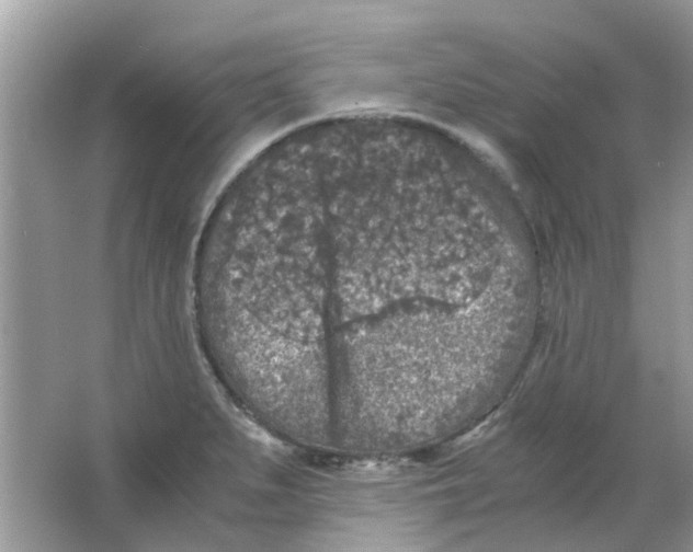 X0000065961279200603241837