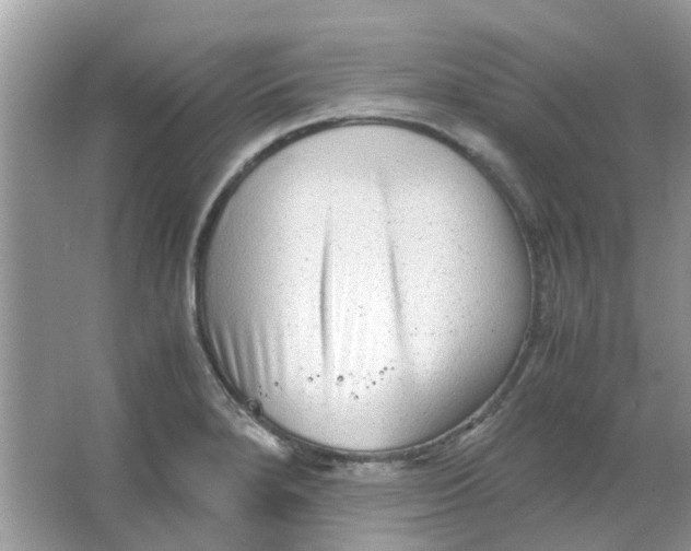 X0000065961280200603241837