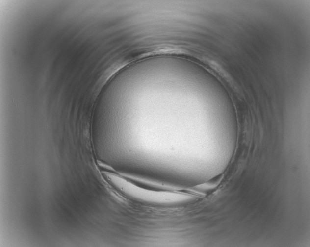 X0000065961281200603241837