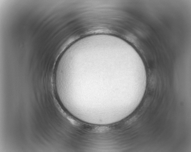 X0000065961282200603241837