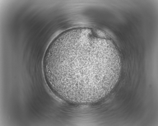 X0000065961283200603241837