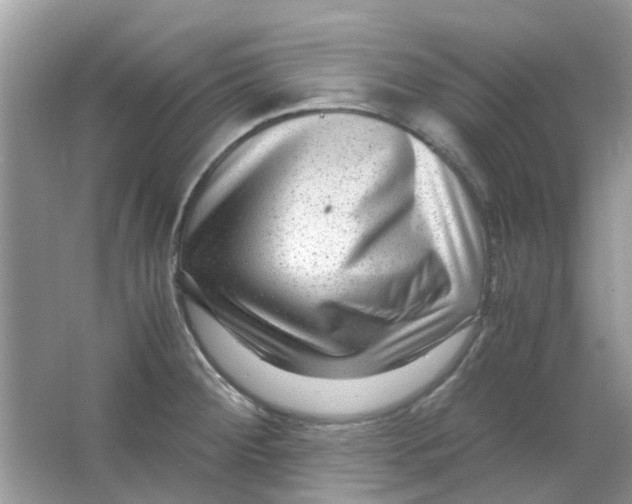 X0000065961284200603241837