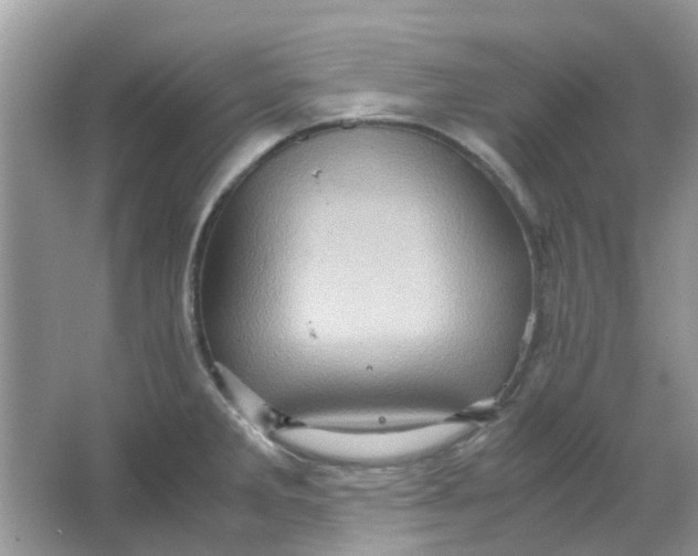 X0000065961285200603241837