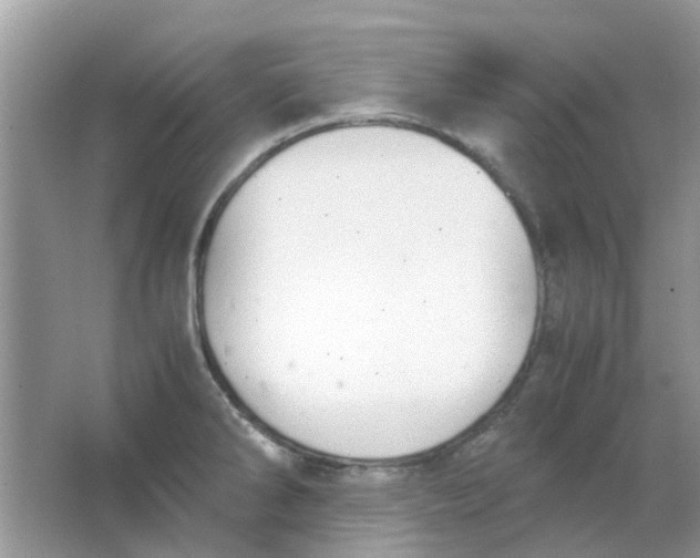 X0000065961286200603241837