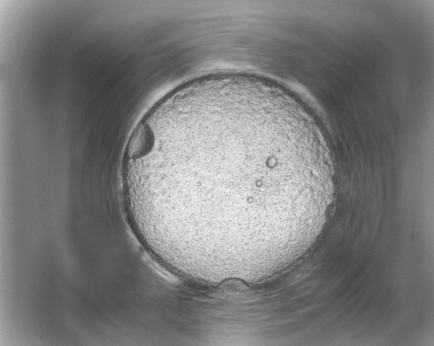 X0000065961287200603241837