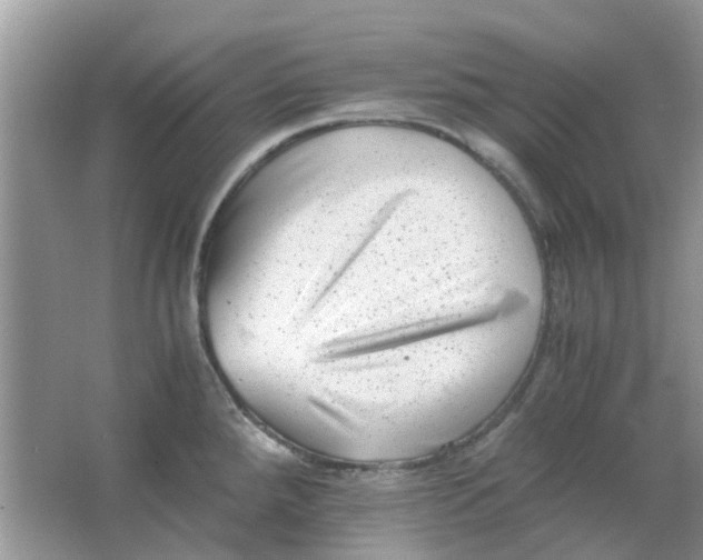 X0000065961288200603241837