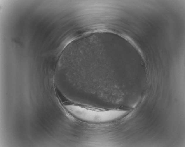 X0000065961289200603241837