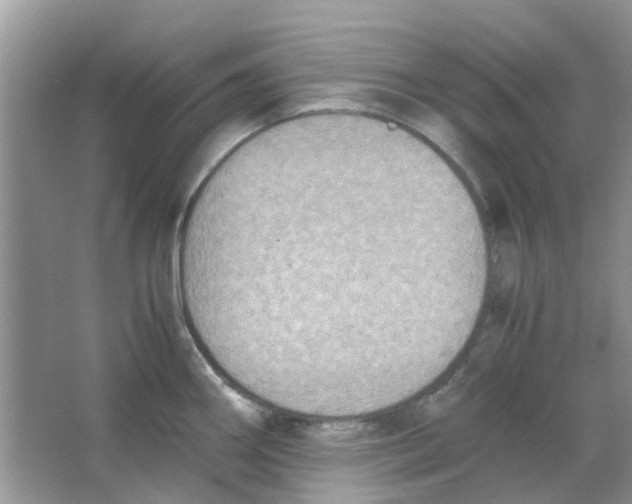 X0000065961290200603241837