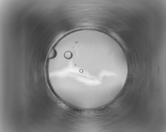 X0000065961291200603241837