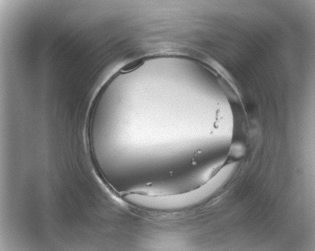 X0000065961293200603241837