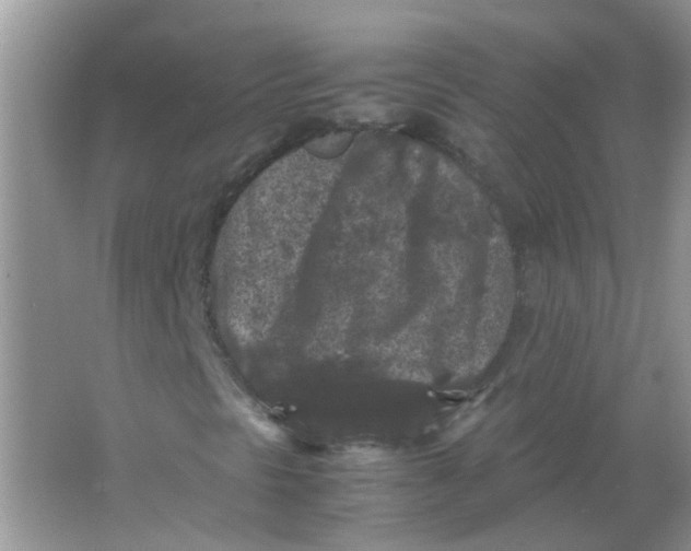 X0000065961297200603241836