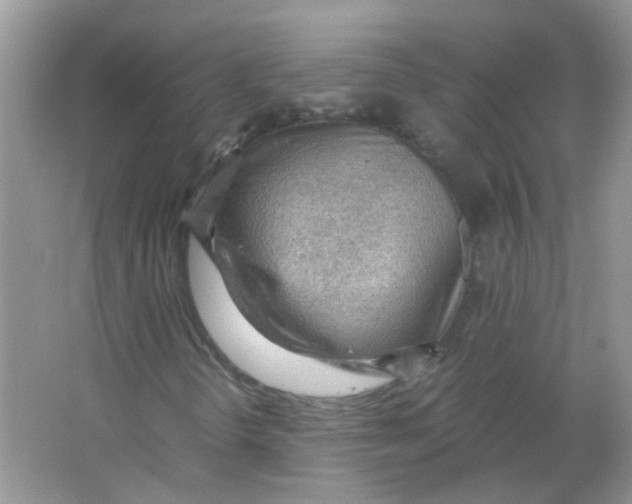 X0000065961298200603241836